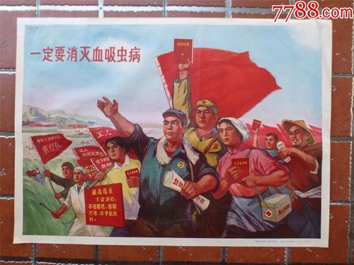 不动产权属证书号查询